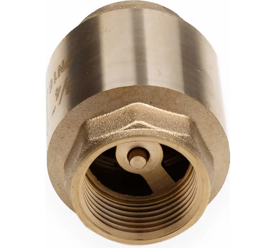 Клапан обратный 3/4 с лат.сердечн. AQualink