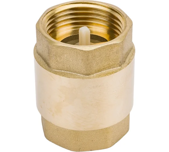 Клапан обратный 1" с пласт.сердечн. AQualink